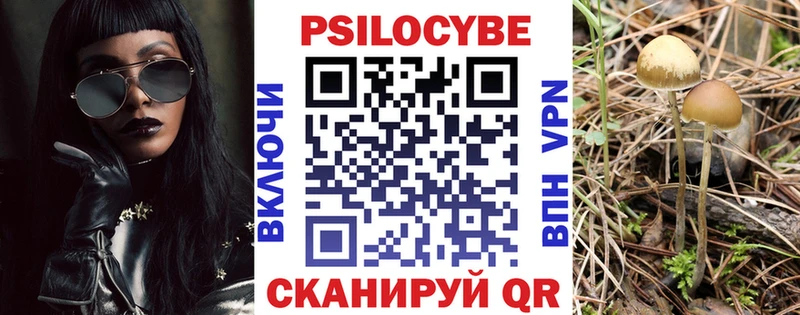 Псилоцибиновые грибы мицелий  Купить  Гуково 