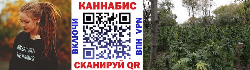 МАРИХУАНА планчик Гуково